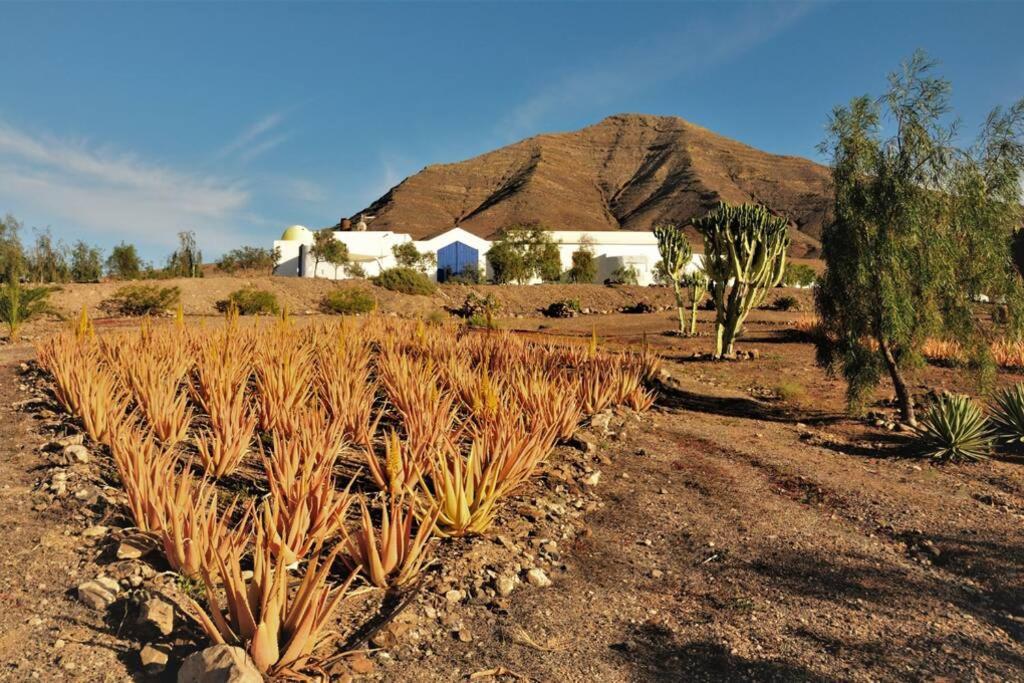 Romantica Fuego - Eco Retreat Finca Artis Tirma Tarajalejo Εξωτερικό φωτογραφία